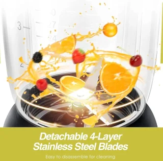 BL9703-GS Blender en Sapcentrifuge 700W
