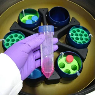 Centrifugebuizen 50 ml - set van 50