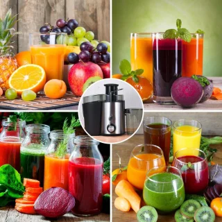 DKProducts Slowjuicer 800W Roestvrijstaal Zwart