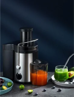 DnA® Sapcentrifuge Slowjuicer Zilver