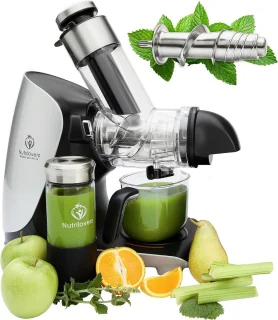 Edelstaal Slowjuicer Sapcentrifuge