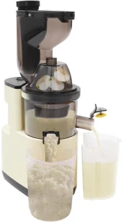 Elektrische sapper - sapcentrifuge groente fruit - wit