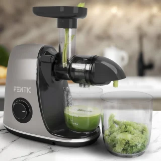 Fentic Slowjuicer 700ml Antraciet
