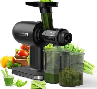 FIBILA Slowjuicer Sapcentrifuge Zwart