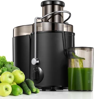 Fruit- en Groente Juicer RVS 400W Centrifugaal 3S Speed