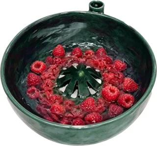 Fruit groente spinner - bessenreiniger - groen