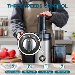 Fuegobird L811 Power Juicer RVS Zwart