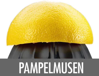 Gastroback Home Culture Citrus Press