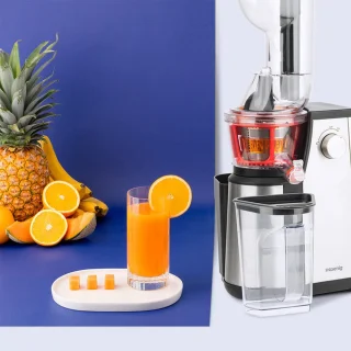 H.Koenig GSX24 - Slowjuicer