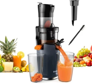 JOYNEXTBUY slowjuicer