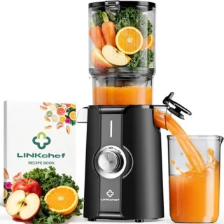 Juicer slow juicer sapcentrifuge voor groente en fruit
