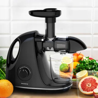 Klausberg KB-7861 Slow Juicer Zwart 700ml