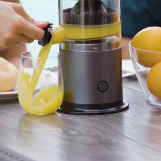 Livington JuiceBoost draagbare sapcentrifuge 250 ml