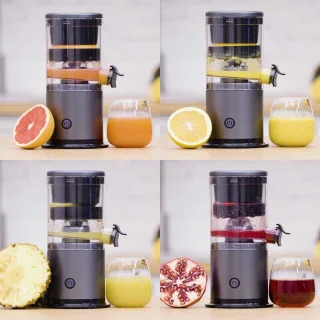 Livington JuiceBoost draagbare sapcentrifuge 250 ml
