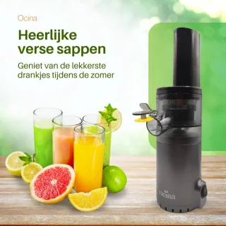 Ocina Mini Slowjuicer Grijs