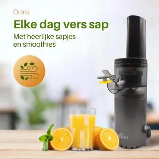 Ocina Mini Slowjuicer Grijs