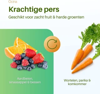 Ocina Mini Slowjuicer Grijs
