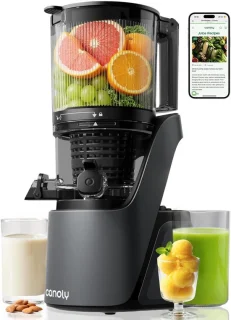 OLOEY Canoly slowjuicer