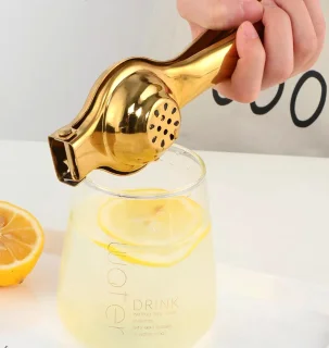 PALMS Handmatige Citruspers Goud