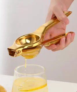 PALMS Handmatige Citruspers Goud