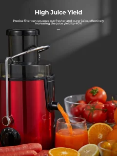 Royalty Line PJ19001 Sapcentrifuge Rood 700W