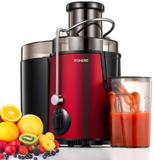 RVS slowjuicer