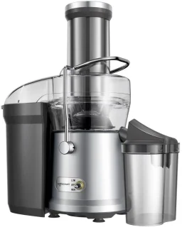 Safecourt Kitchen Sapcentrifuge 1200W Groente & Fruit Juicer