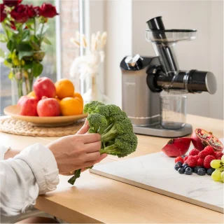 Safecourt Kitchen Slowjuicer 700ml Grijs
