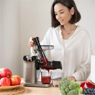 Safecourt Kitchen Slowjuicer 700ml Grijs
