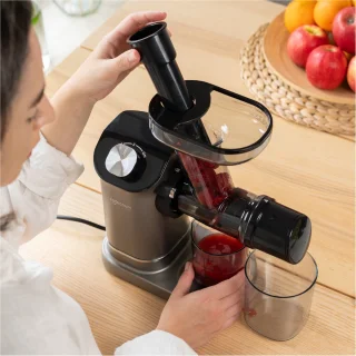 Safecourt Kitchen Slowjuicer 700ml Grijs