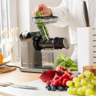 Safecourt Kitchen Slowjuicer 700ml Grijs