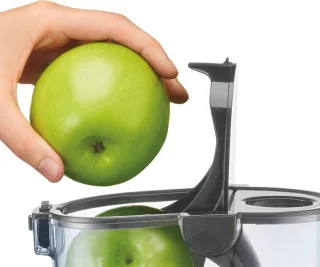 Sage Big Squeeze Slowjuicer