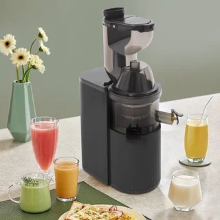Sapcentrifuge elektrische 800 W slow juicer