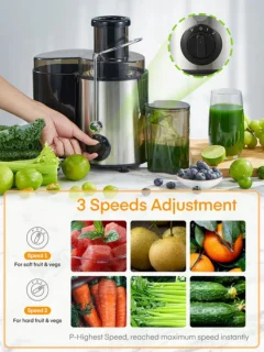 Sapcentrifuge Slowjuicer 1.6L RVS Zilver