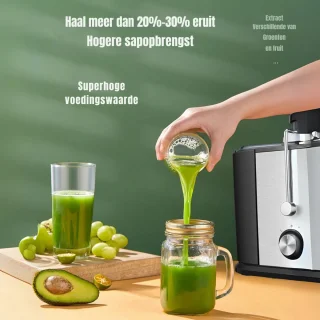 SCH® Sapcentrifuge Slowjuicer Zilver