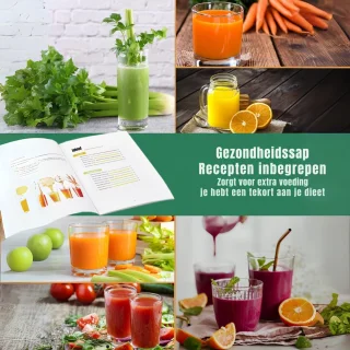 SCH® Sapcentrifuge Slowjuicer Zilver