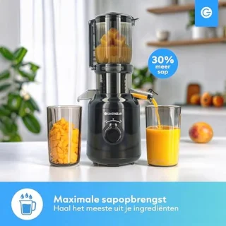 Silvergear® Slow Juicer 250 W Zwart