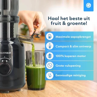 Silvergear Slow Juicer 250W Zwart