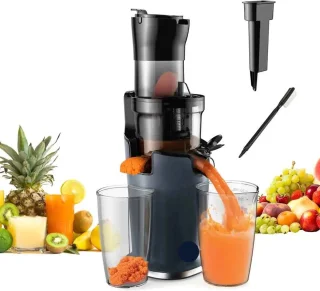 Slow Juicer 200W 78mm Masticating Juice Extractor
