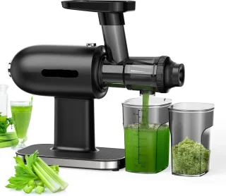 Slow Juicer Masticating Machine met Omkeerfunctie