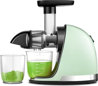 Slow Juicer Mintgroen - Masticerende Koudpers Juicer Met 2 Bekers