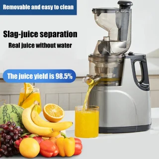 Slow Juicer Sapcentrifuge 500W met Grote Vulopening 8 cm