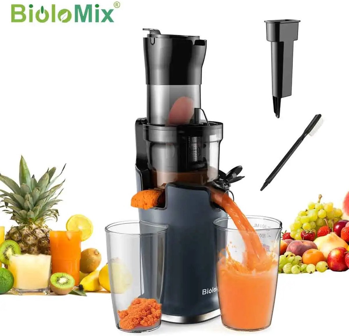 De Slowjuicer 500 ml Coldpress Sapcentrifuge in één oogopslag