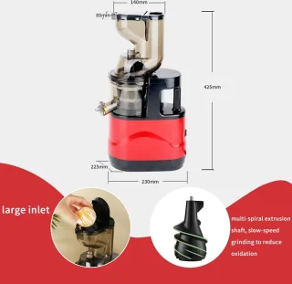 Slowjuicer 500W elektrische sapcentrifuge voor groenten en fruit