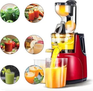 Slowjuicer 500W elektrische sapcentrifuge voor groenten en fruit