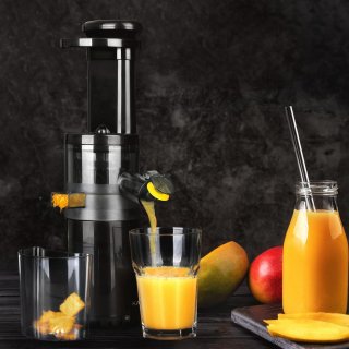 Wat vinden we goed aan de Slowjuicer 80W