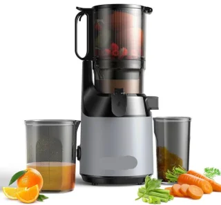 Slowjuicer Cold Press Juicer