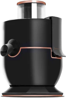 Slowjuicer Groenten en Fruitpers Anti Drup Juicer