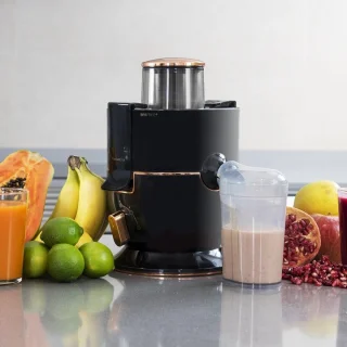 Slowjuicer Groenten en Fruitpers Anti Drup Juicer