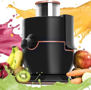 Slowjuicer Groenten en Fruitpers Anti Drup Juicer